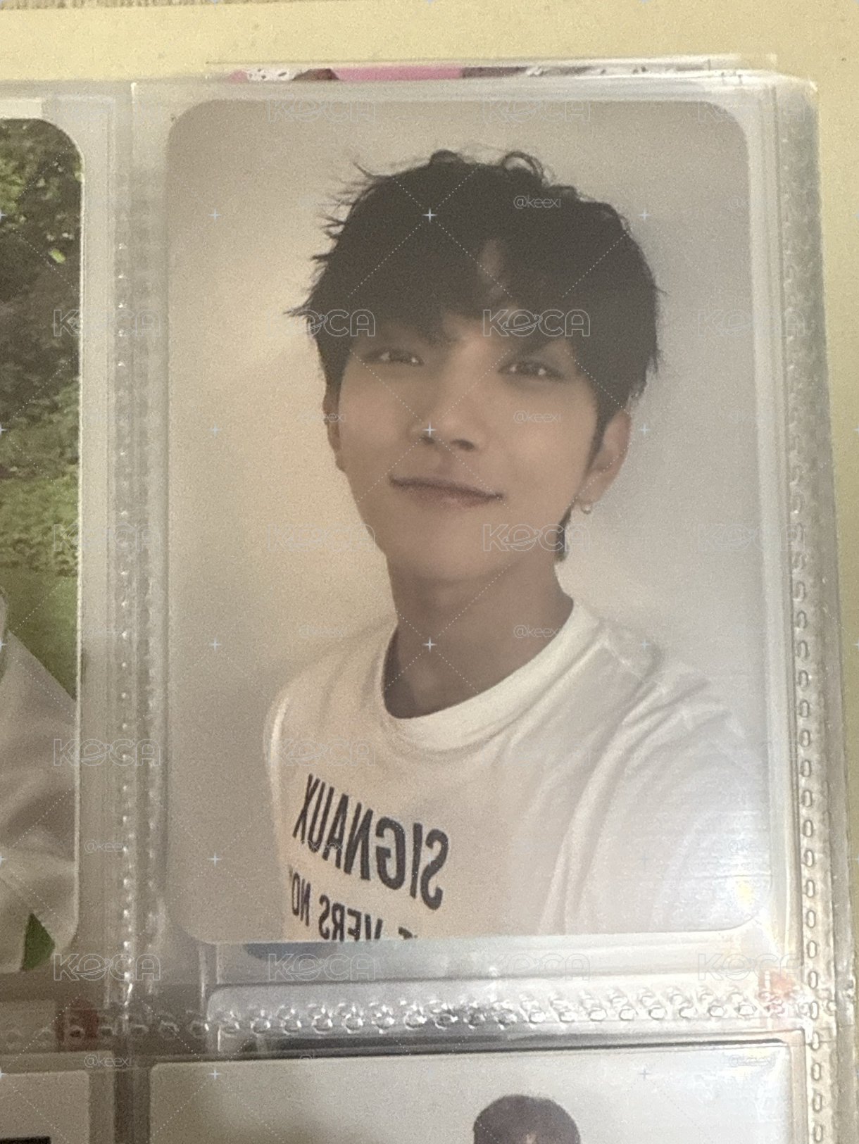 SVT 秀