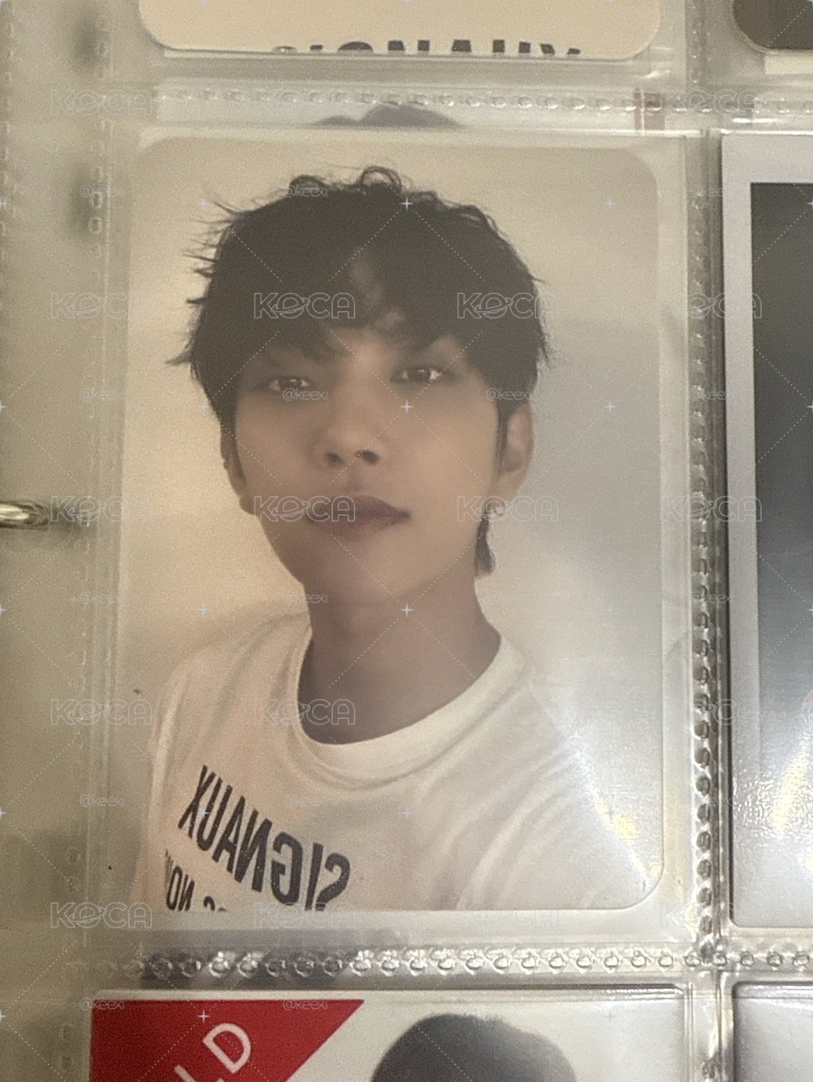 SVT 秀