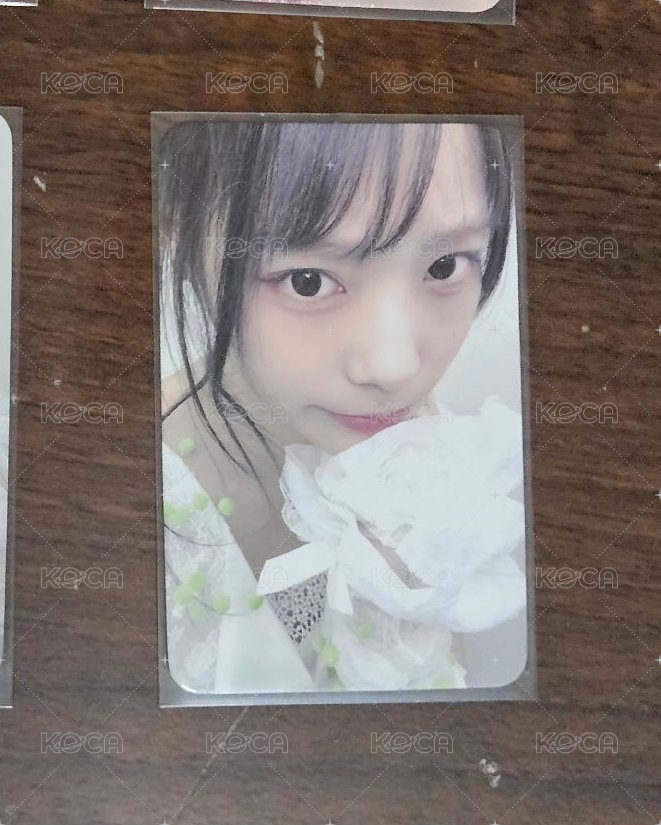 燕