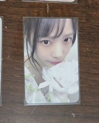 燕