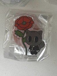 顯立牌