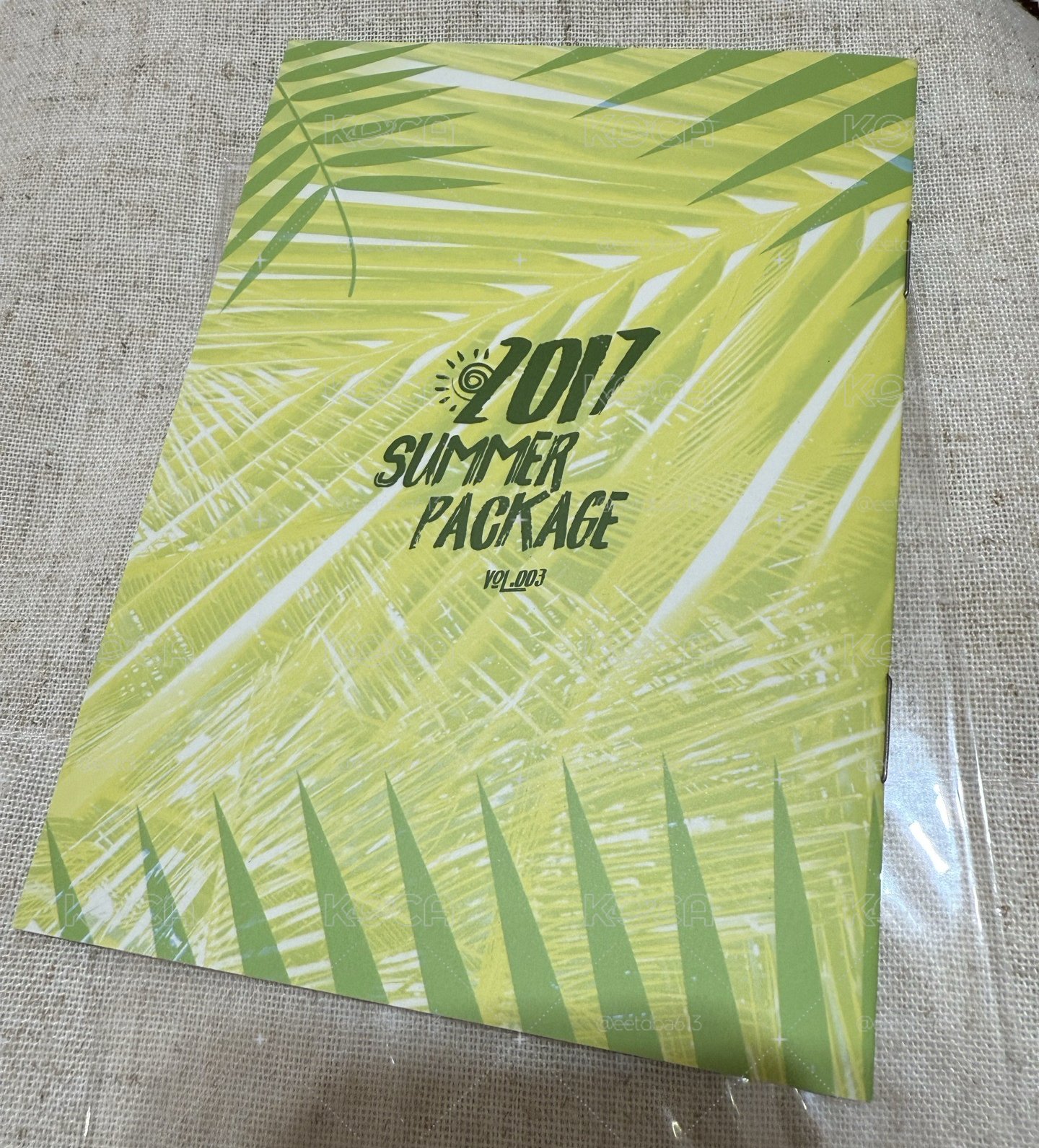 2017夏寫 智旻小冊