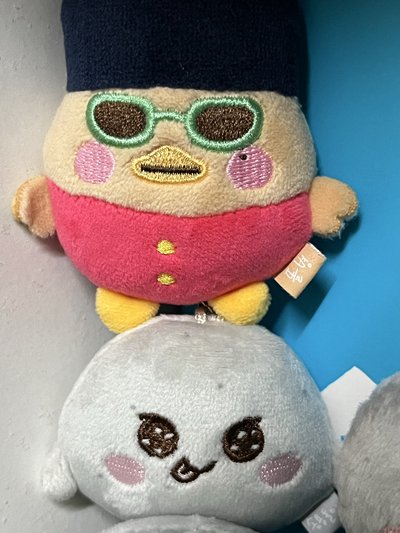 龍石糰子+小魚