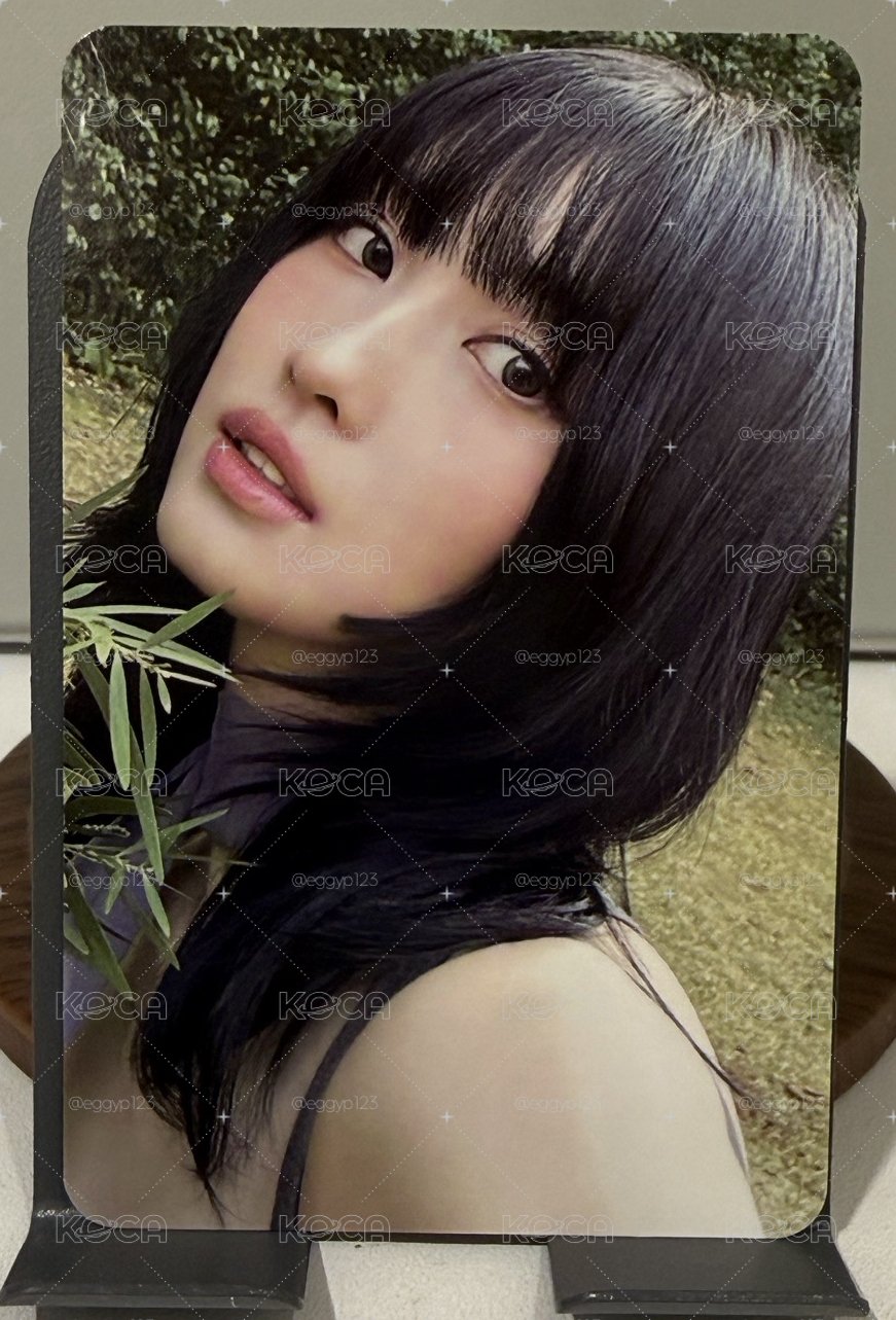 迷13 森林桃🍃