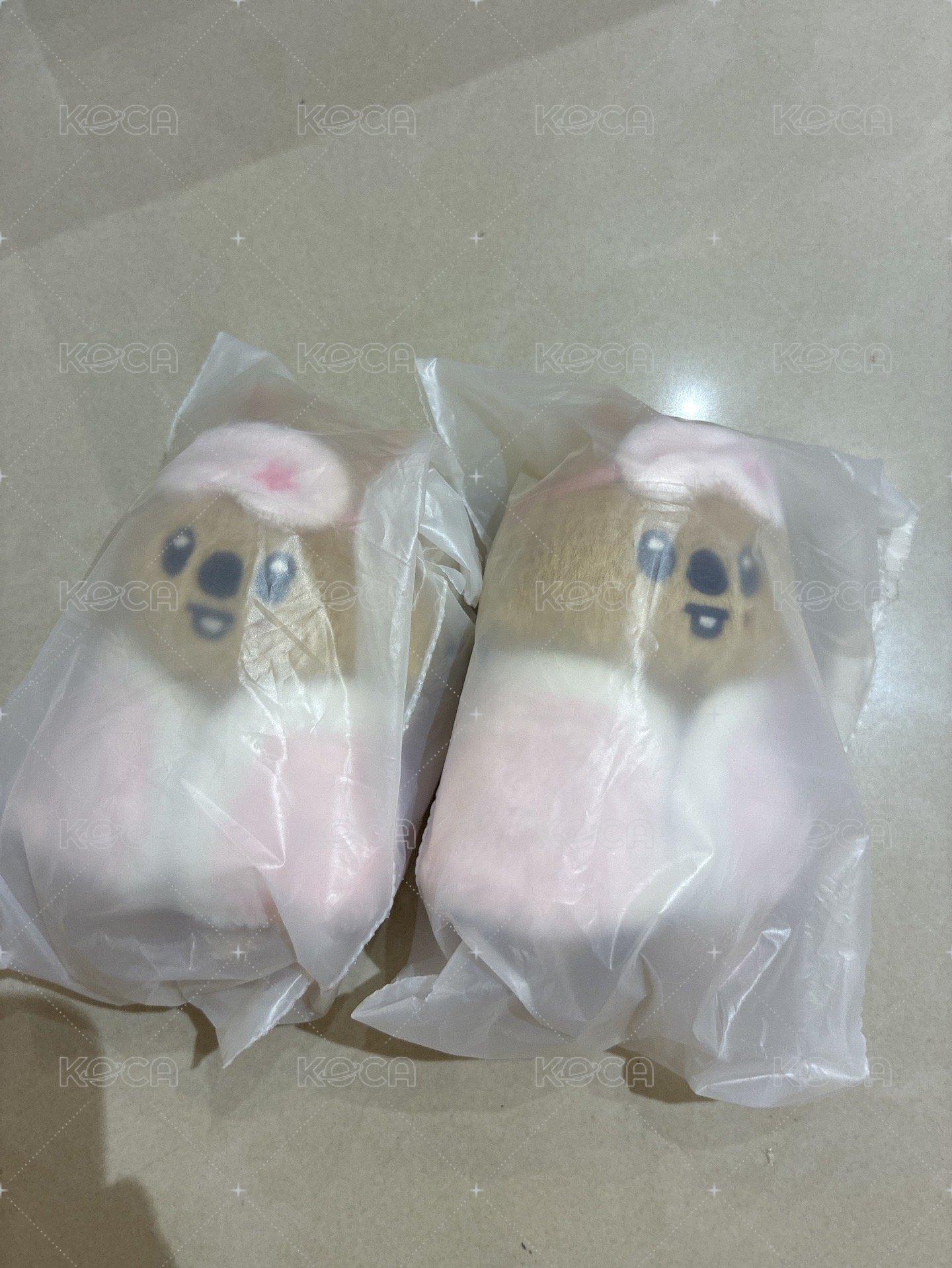 知城