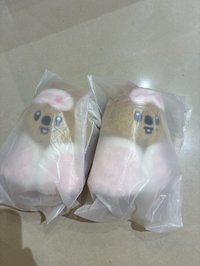 知城
