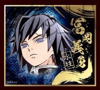 animate 鬼滅の刃 ビジュアル 色紙 コレクション