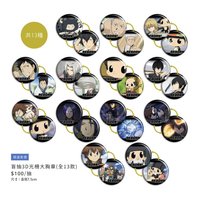 盲抽 3D光柵大胸章
