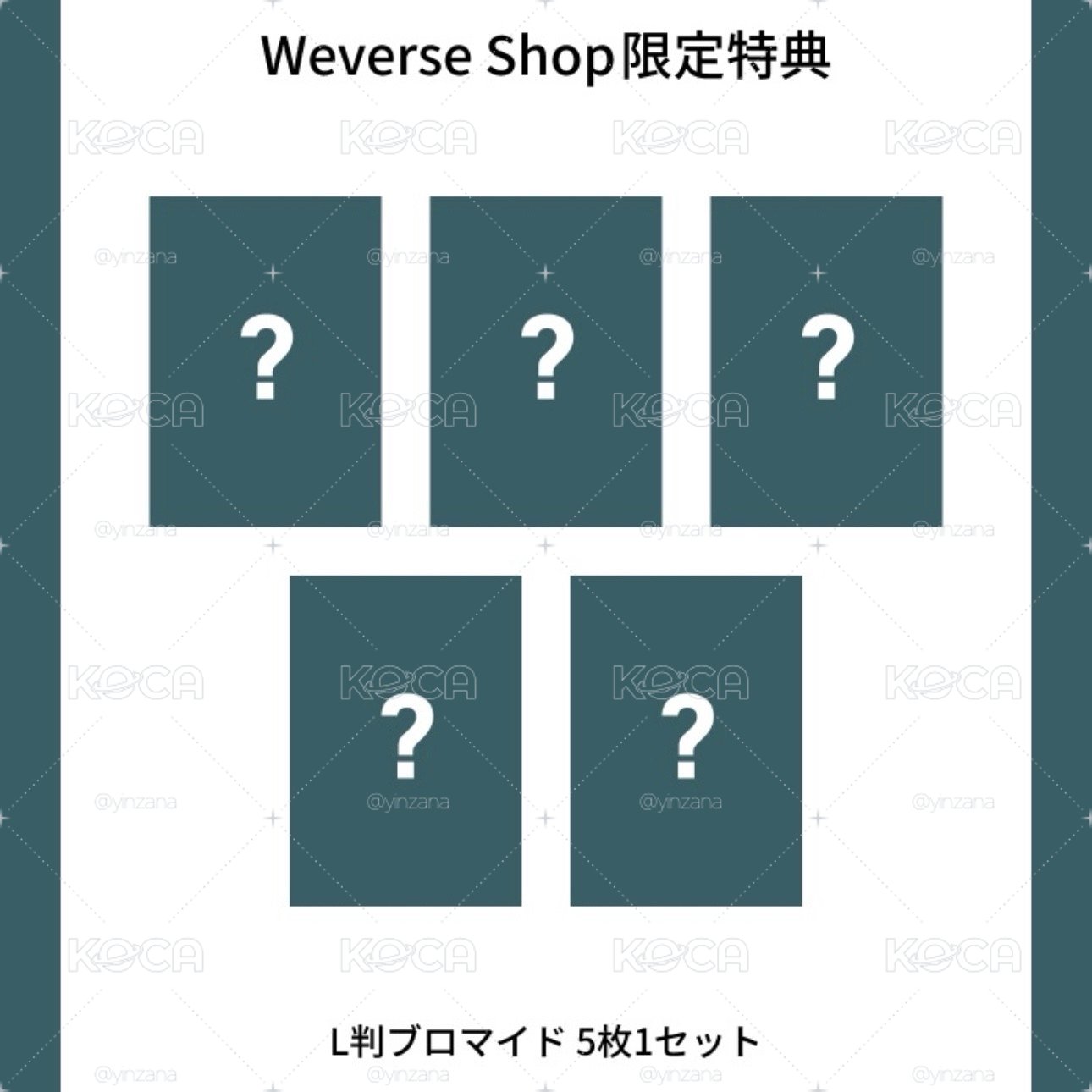 東蛋DVD 數位版