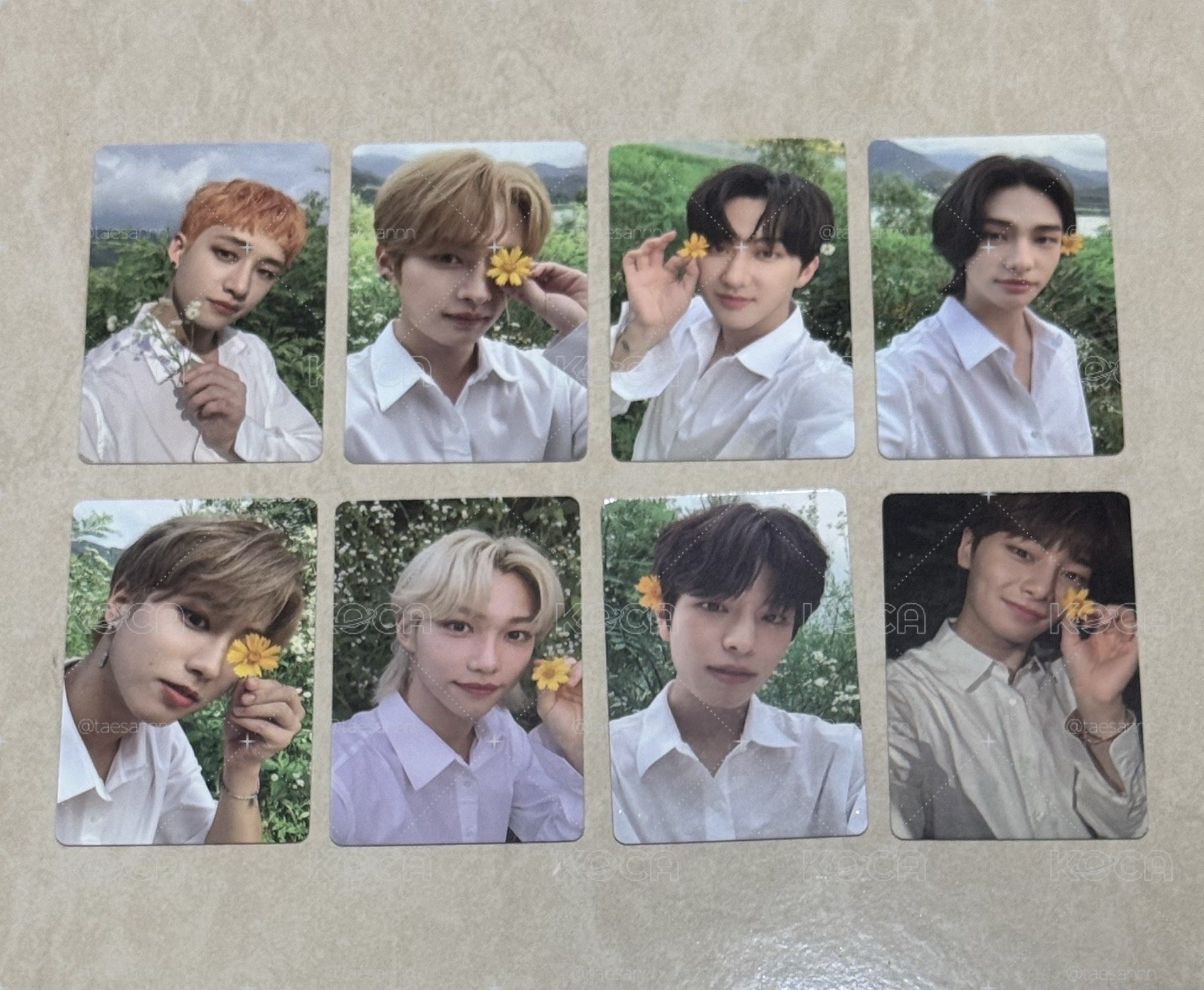 skz noeasy花卡一套