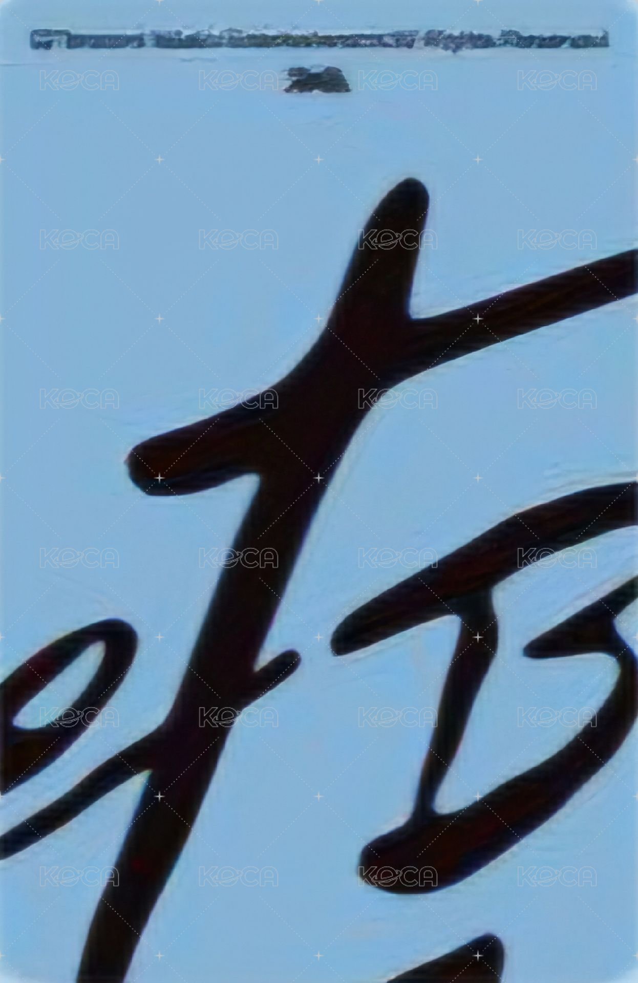 SET BY US ONLY QQ音樂 星光卡 一星 背面