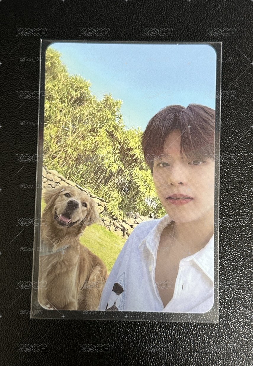 濟州島 狗次方（線下）🐶🐶