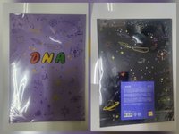 DNA全新資料夾兩個