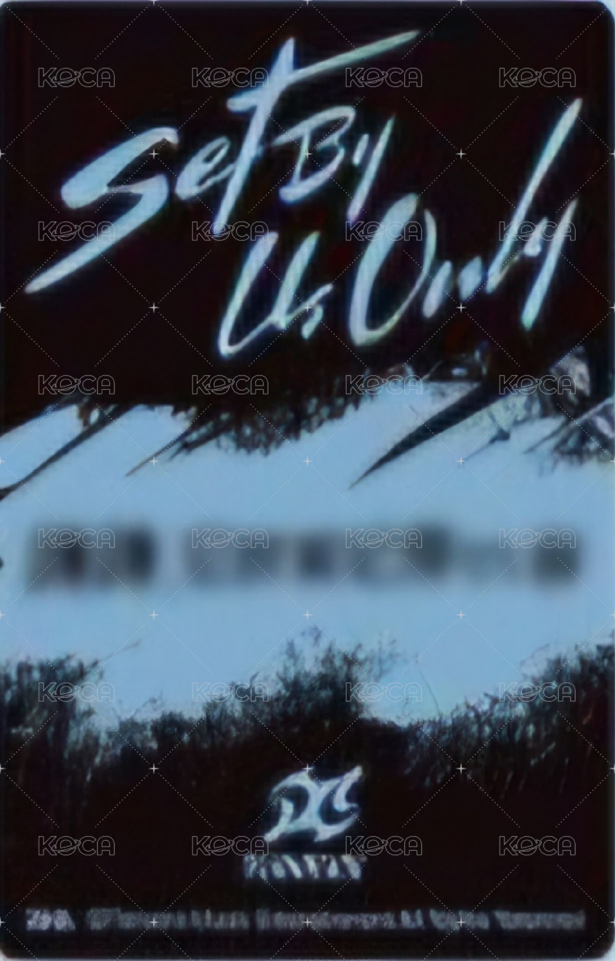 SET BY US ONLY QQ音樂 星光卡 四星 背面