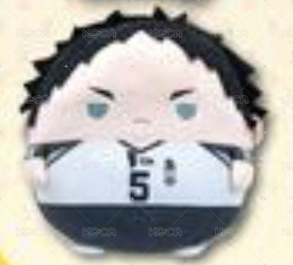 赤葦 第三彈 BIG