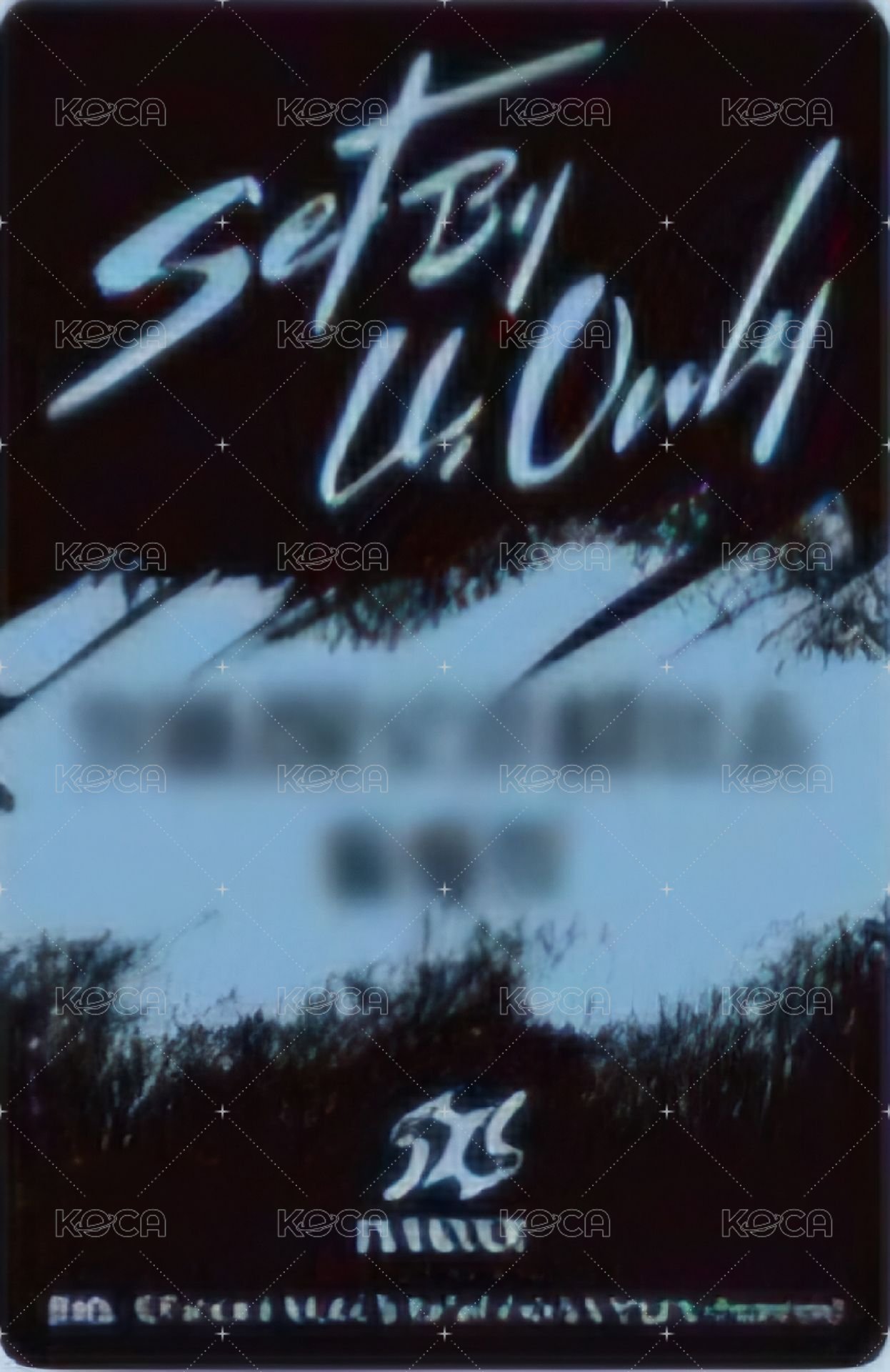 SET BY US ONLY QQ音樂 星光卡 四星 背面