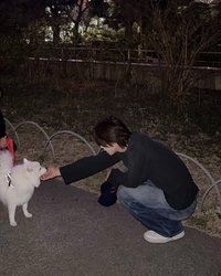 ケイ