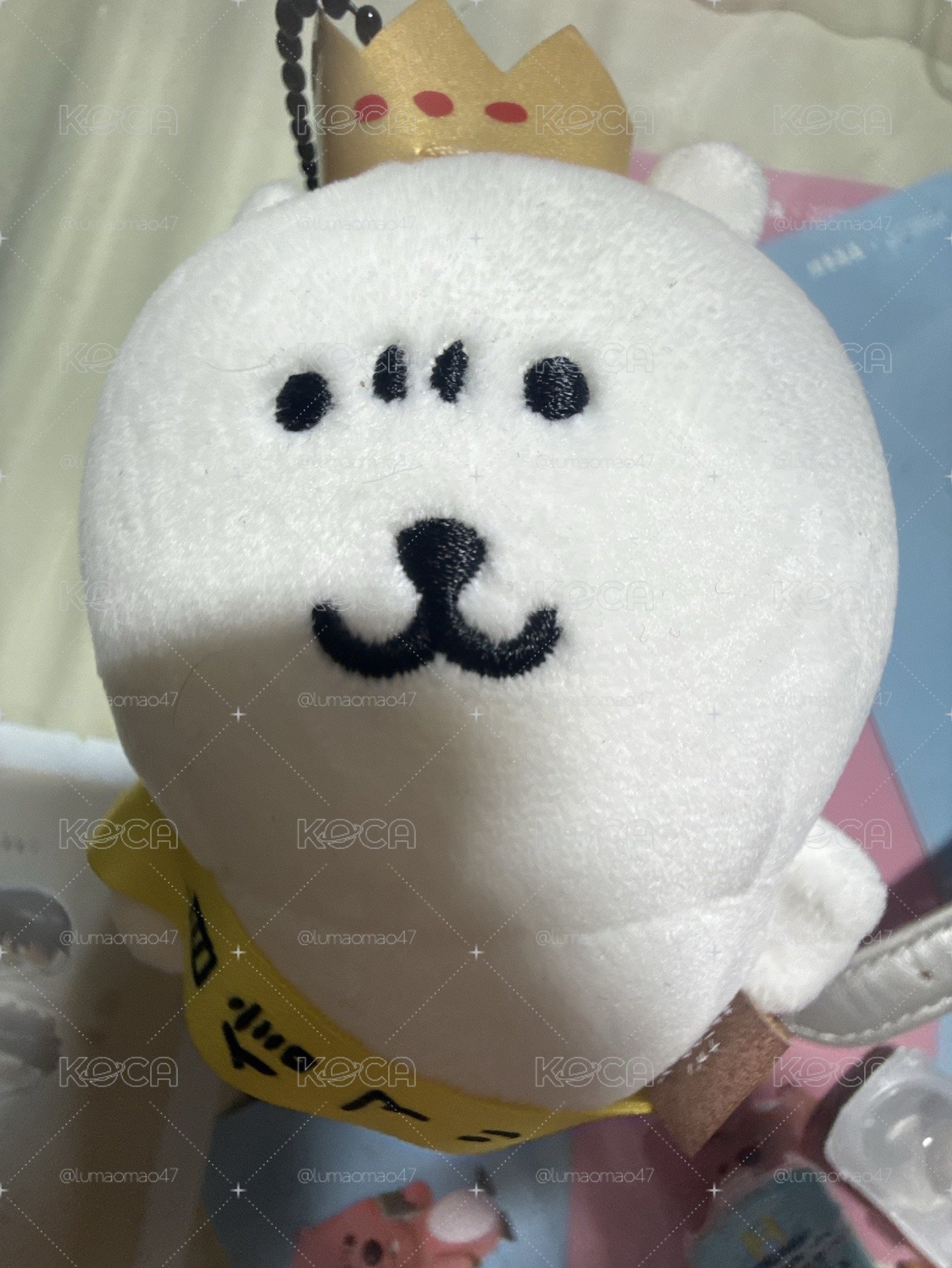自信熊