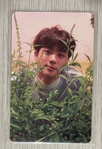 承O珍