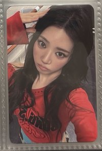 茶