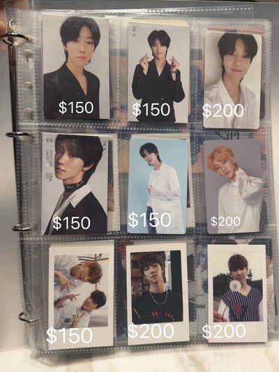 seventeen 小八～