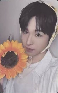 Mmchk ms 7.0 簽售卡 向日葵 ver.