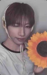 Mmchk ms 7.0 簽售卡 向日葵 ver.