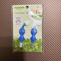 藍皮