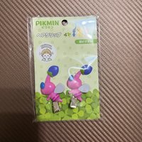 粉皮