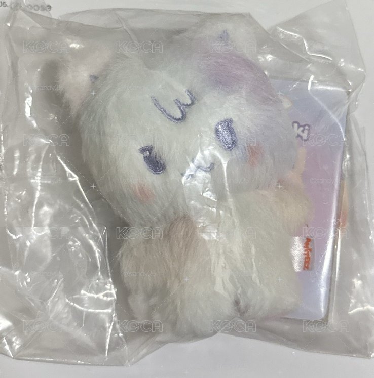 未拆混色傘德+小卡專輯盤