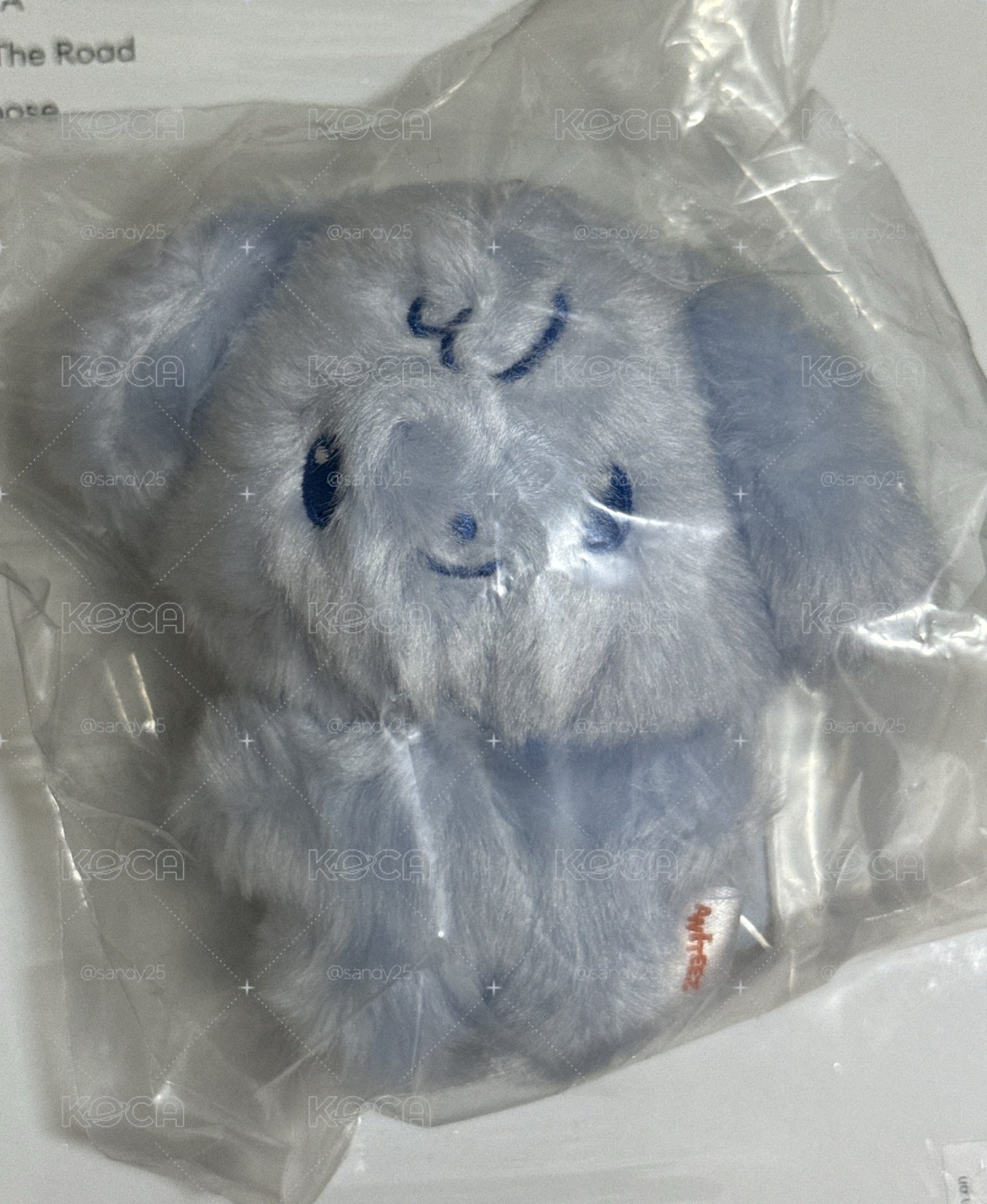 未拆潤浩藍色娃+小卡專輯盤出