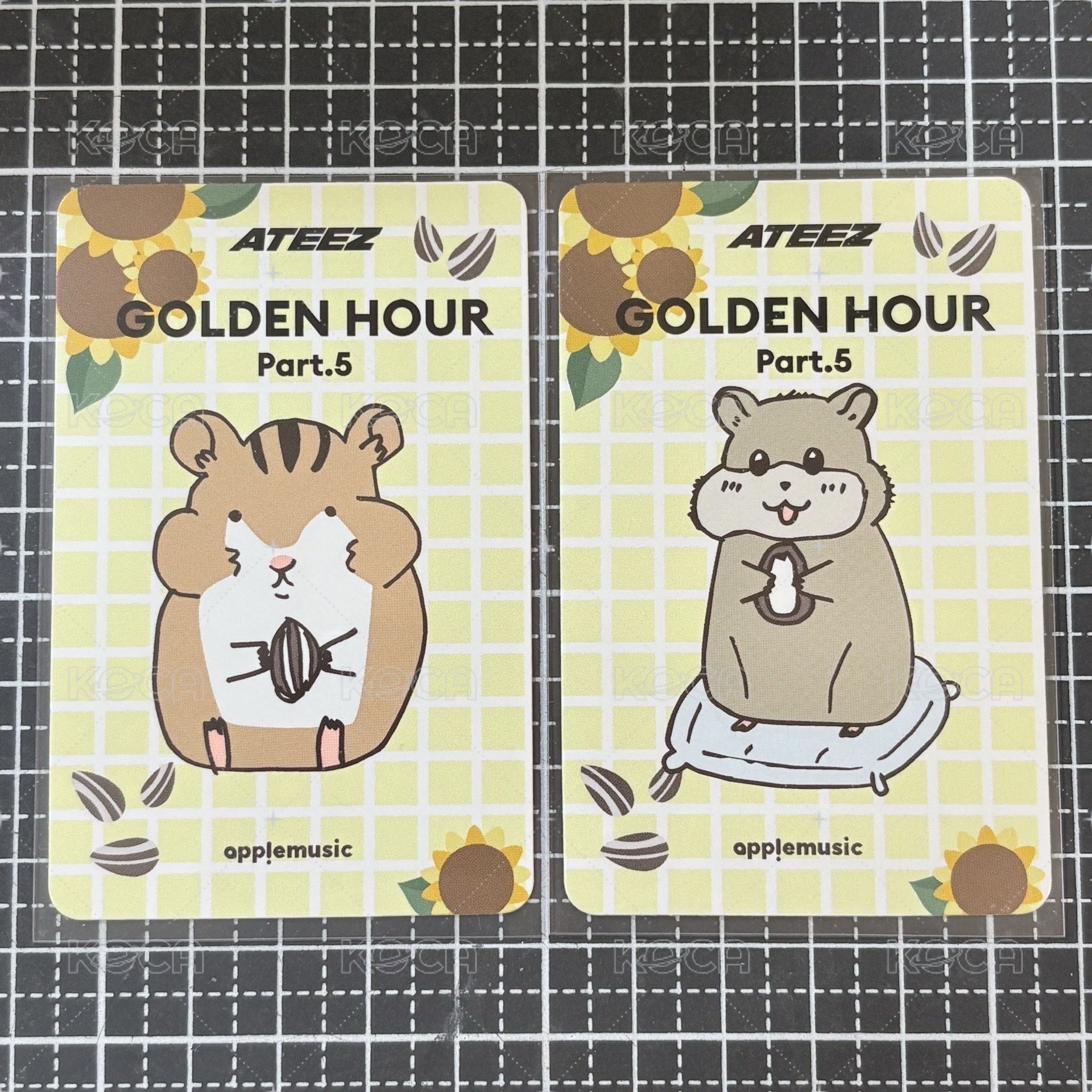 AM簽售 倉鼠ver.