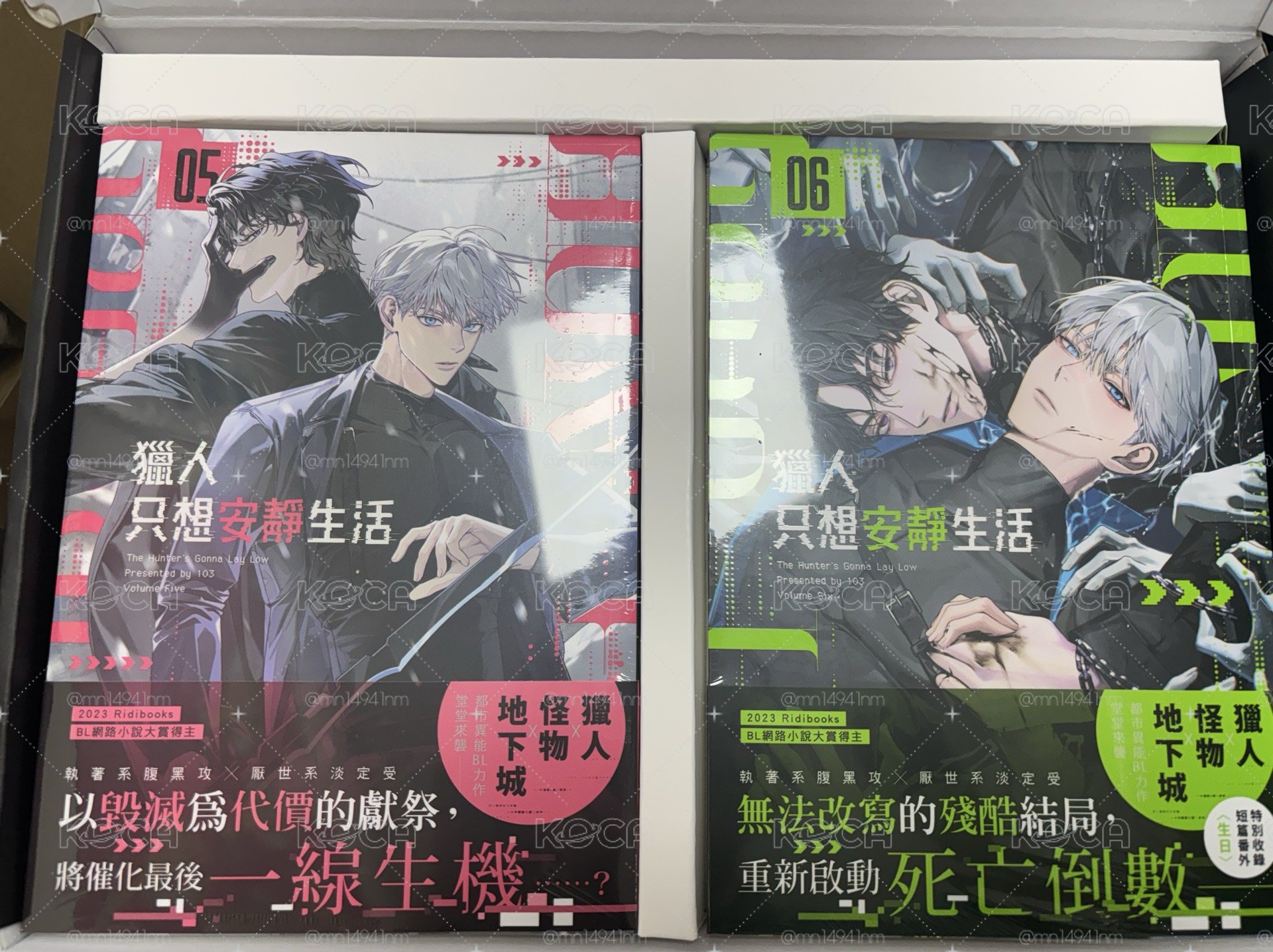 獵人只想安靜生活 5+6 小說 書盒