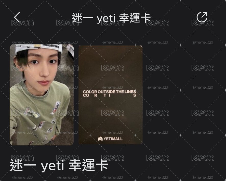 萌萌小嚴貓貓