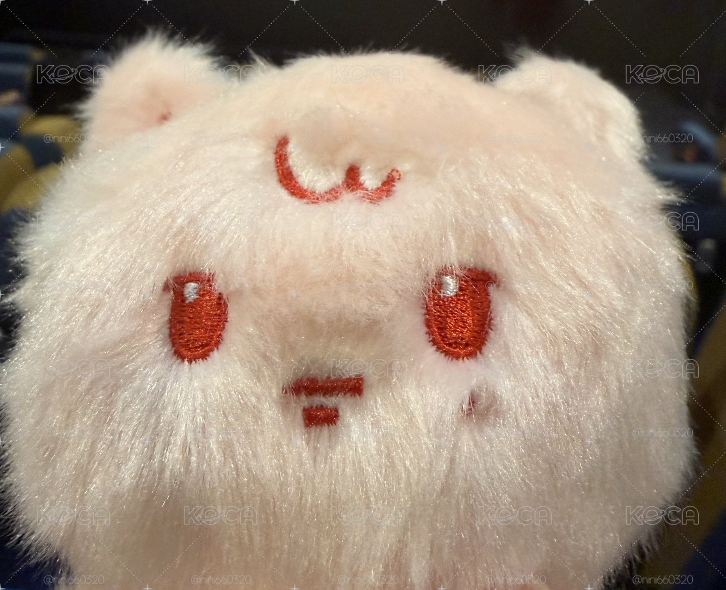 孩子們✨