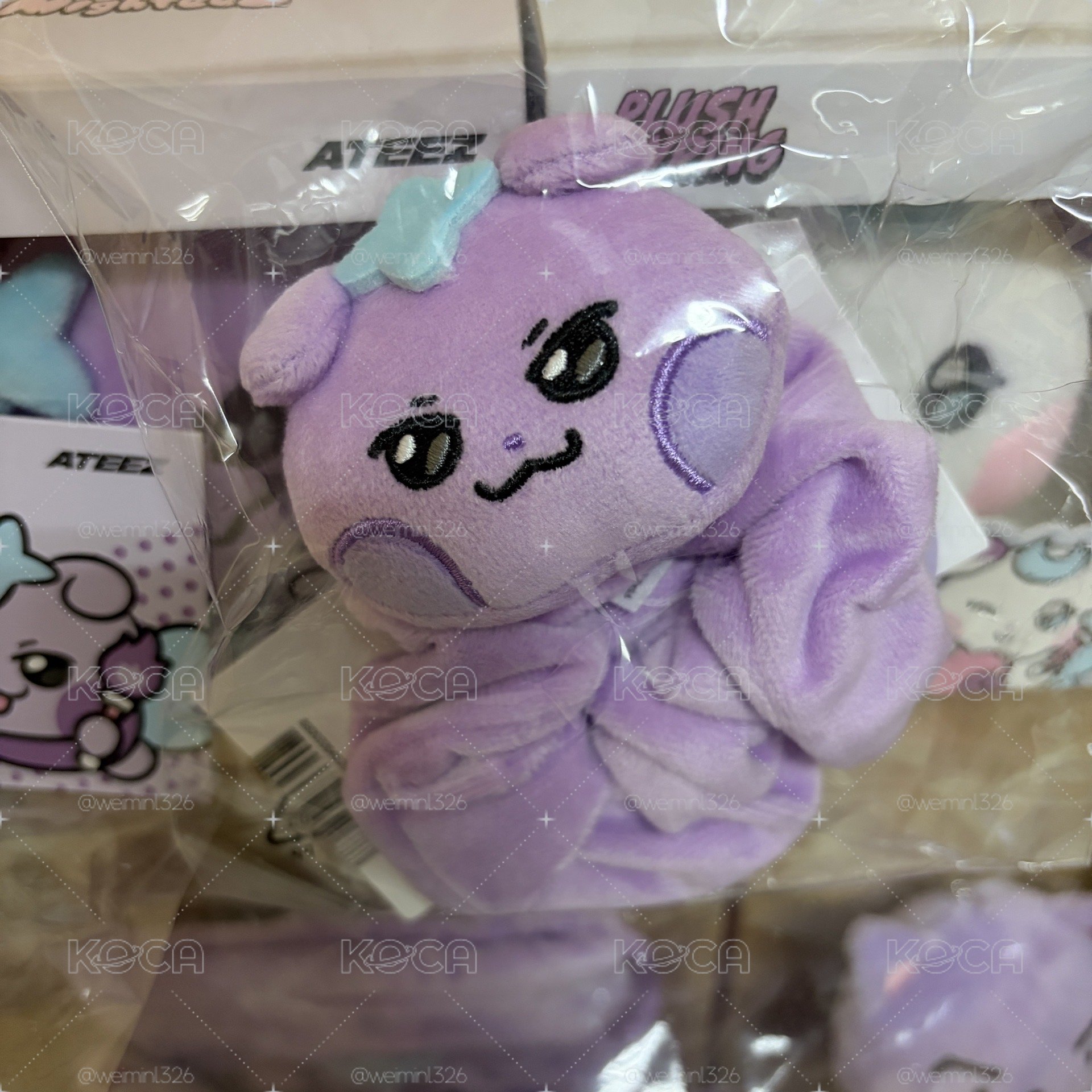 傘尼小盤