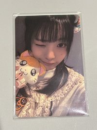 哈姆太郎燕