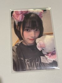 kitty
