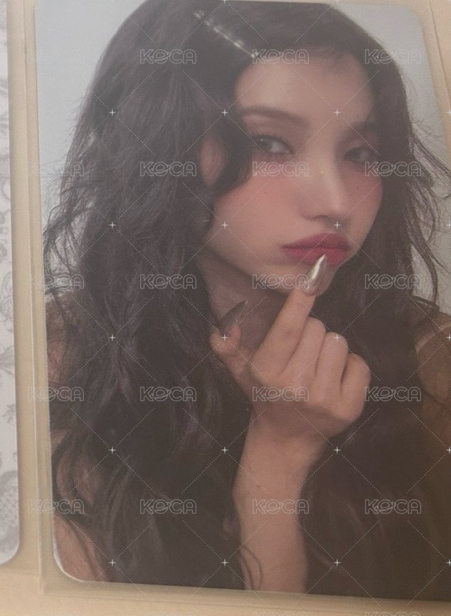 蝴蝶版專卡