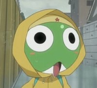 ZiZi