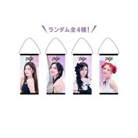 隨機小吊飾