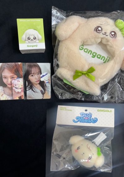 Minive 小盤 在台現貨