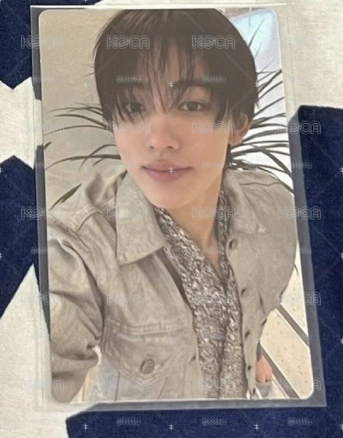 迷二 wvs預售玹 🦊