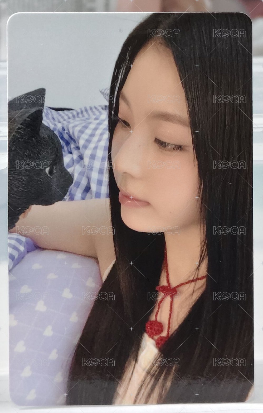 大貓看小貓