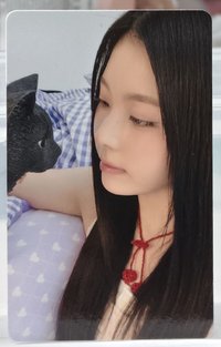 大貓看小貓