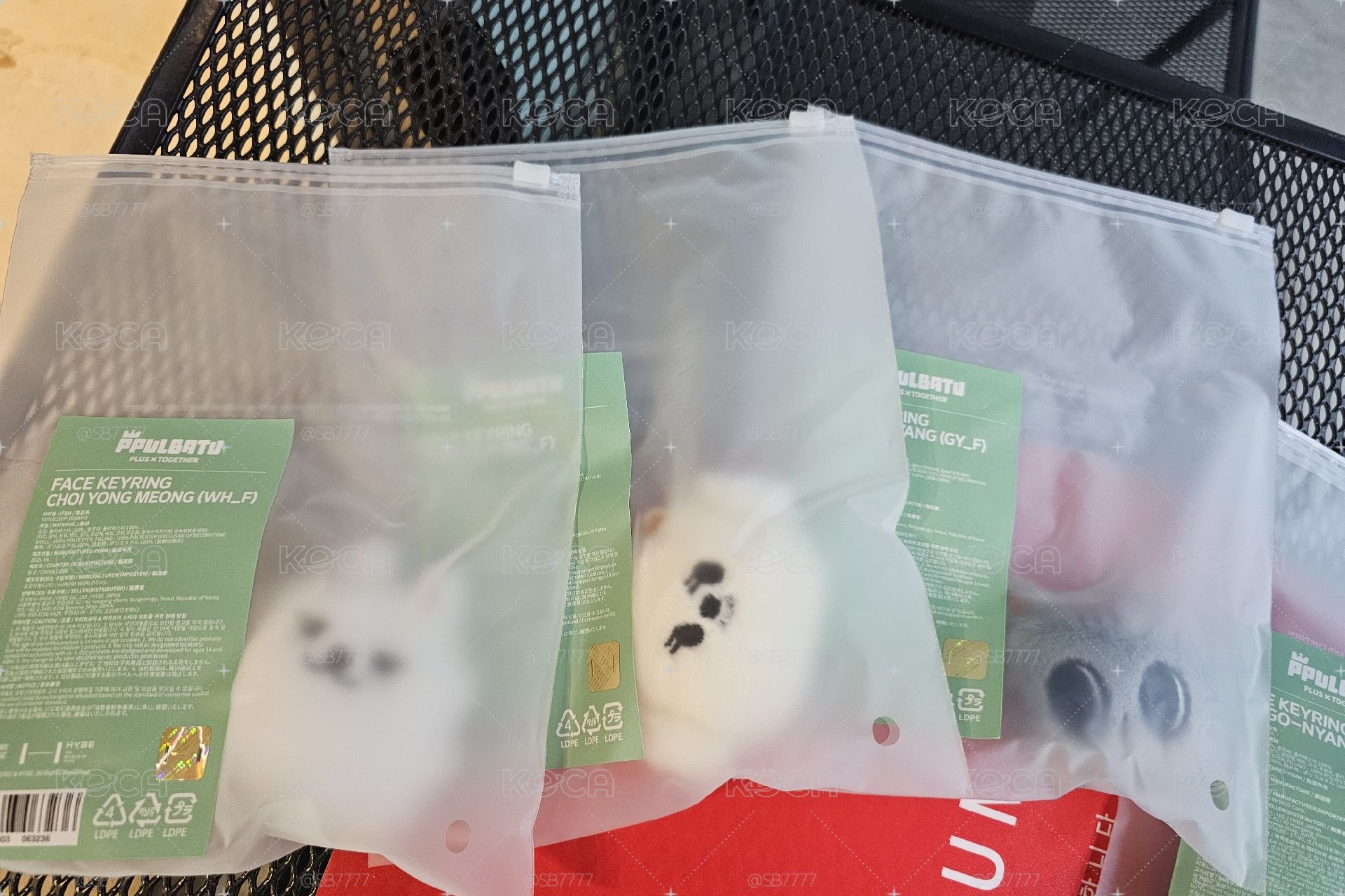 TXT彬圭顯 大頭娃