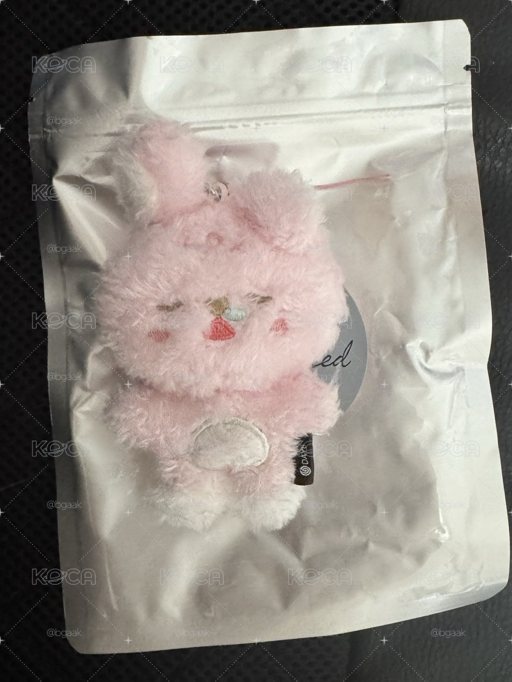 元弼solo隨機娃