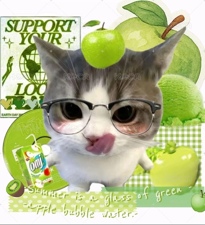 女團福袋