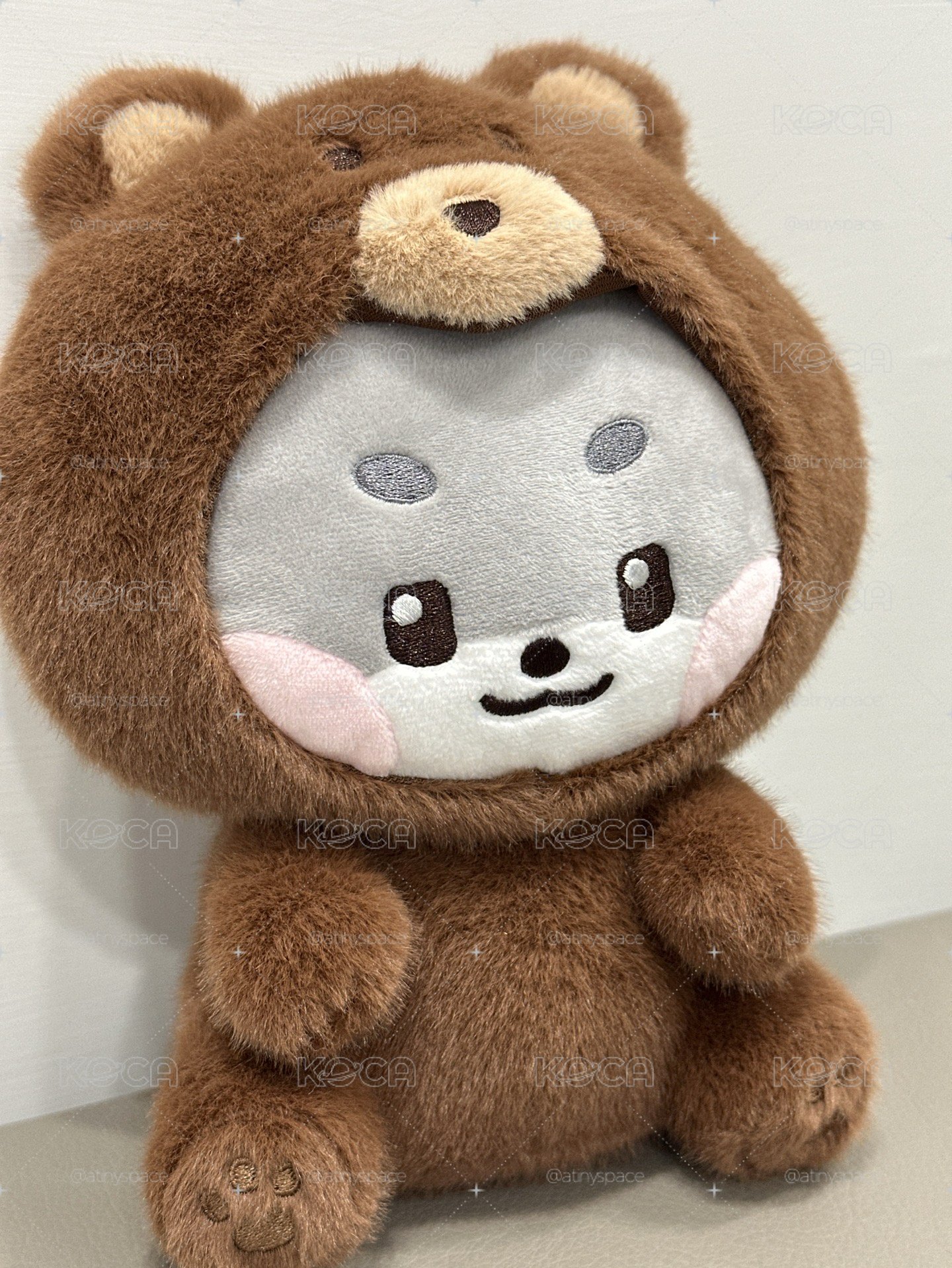 zeroni FULFFY Wonderland 朴乾旭 小熊娃