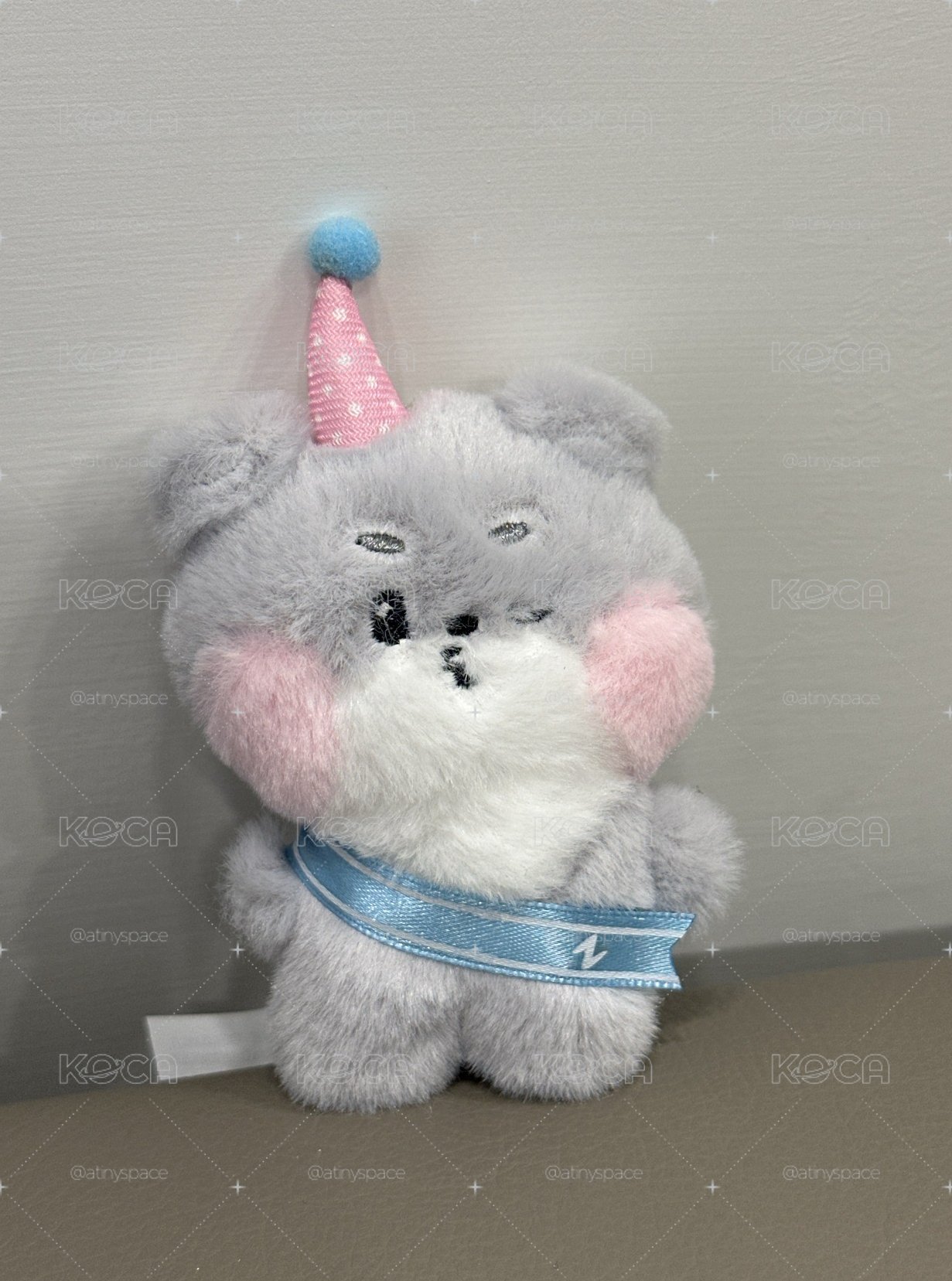 zeroni HOME PARTY 朴乾旭 生日帽嘟嘴娃